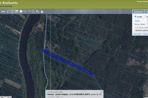 Działka na sprzedaż 11780m2 ostrołęcki Rzekuń Kamianka - zdjęcie 2