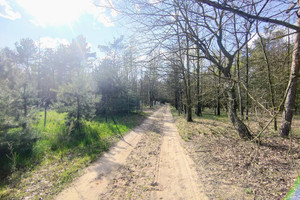 Działka na sprzedaż zgierski Parzęczew Stary Chrząstów - zdjęcie 2