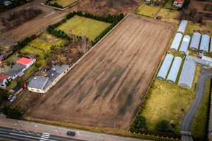 Działka na sprzedaż 9326m2 łódzki wschodni Rzgów Rudzka - zdjęcie 2