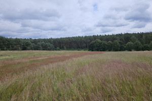 Działka na sprzedaż 1204m2 myśliborski Dębno Klepin - zdjęcie 3