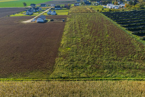 Działka na sprzedaż 877m2 oleśnicki Dobroszyce Nowica - zdjęcie 3