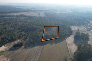 Działka na sprzedaż 11700m2 ostrołęcki Kadzidło Golanka - zdjęcie 1