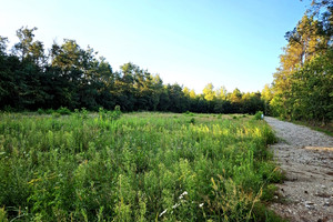 Działka na sprzedaż 1000m2 Łódź Kolumny - zdjęcie 1