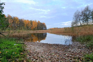 Działka na sprzedaż 40050m2 szczycieński Świętajno Piasutno - zdjęcie 1