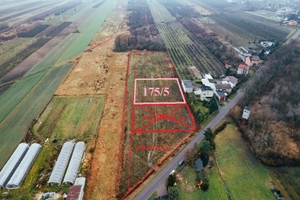 Działka na sprzedaż 1095m2 zgierski Głowno Ostrołęcka - zdjęcie 2