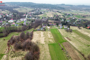 Działka na sprzedaż 9900m2 brzozowski Haczów Malinówka - zdjęcie 2