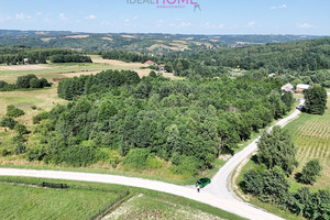 Działka na sprzedaż 38600m2 rzeszowski Błażowa Nowy Borek - zdjęcie 2