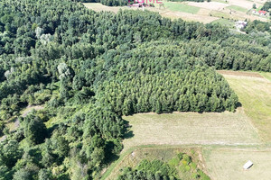 Działka na sprzedaż 13500m2 rzeszowski Błażowa Nowy Borek - zdjęcie 2