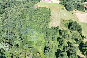 Działka na sprzedaż 13500m2 rzeszowski Błażowa Nowy Borek - zdjęcie 3