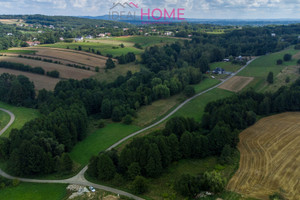 Działka na sprzedaż 4700m2 jasielski Tarnowiec Wrocanka - zdjęcie 2