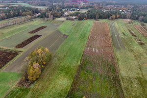 Działka na sprzedaż 10800m2 ropczycko-sędziszowski Ostrów Zdżary - zdjęcie 3