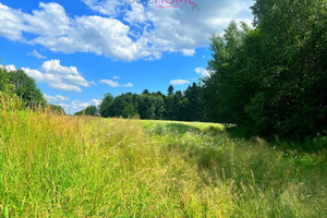 Działka na sprzedaż 8230m2 strzyżowski Czudec Zaborów - zdjęcie 2