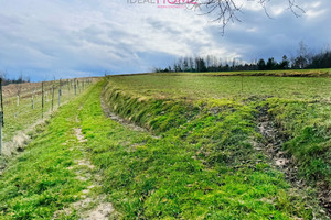 Działka na sprzedaż 2352m2 rzeszowski Błażowa Futoma - zdjęcie 3