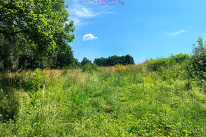 Działka na sprzedaż 11100m2 ropczycko-sędziszowski Sędziszów Małopolski Szkodna - zdjęcie 2