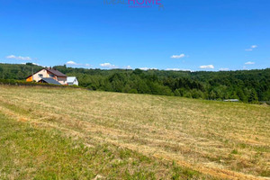 Działka na sprzedaż 4512m2 rzeszowski Chmielnik Zabratówka - zdjęcie 3