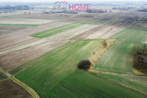 Działka na sprzedaż 2400m2 mielecki Czermin Ziempniów - zdjęcie 3