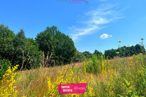 Działka na sprzedaż 11100m2 ropczycko-sędziszowski Sędziszów Małopolski Szkodna - zdjęcie 1