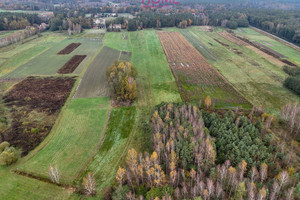 Działka na sprzedaż 10800m2 ropczycko-sędziszowski Ostrów Zdżary - zdjęcie 2