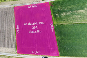 Działka na sprzedaż 2900m2 łańcucki Markowa Husów - zdjęcie 3