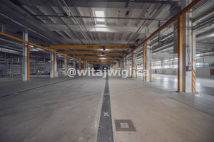 Komercyjne do wynajęcia 1000m2 Wrocław Śródmieście - zdjęcie 1