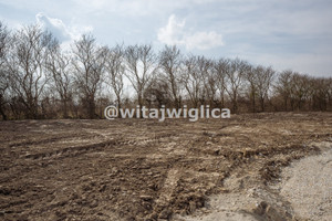 Działka na sprzedaż 4200m2 trzebnicki Wisznia Mała Kryniczno - zdjęcie 1