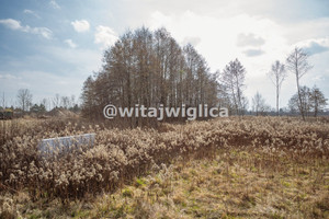 Działka na sprzedaż trzebnicki Wisznia Mała Kryniczno - zdjęcie 2