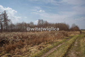 Działka na sprzedaż trzebnicki Wisznia Mała Kryniczno - zdjęcie 1