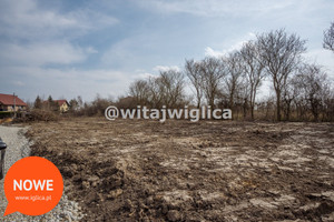 Działka na sprzedaż 1000m2 trzebnicki Wisznia Mała Kryniczno - zdjęcie 1