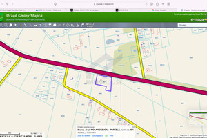 Działka na sprzedaż 4453m2 słupecki Słupca Wola Koszucka-Parcele - zdjęcie 1