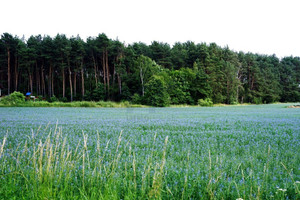 Działka na sprzedaż 55964m2 poznański Swarzędz Zalasewo - zdjęcie 1