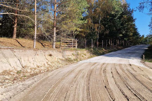 Działka na sprzedaż wągrowiecki Skoki Potrzanowo Uroczysko - zdjęcie 2