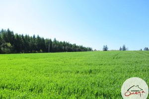 Działka na sprzedaż 1000m2 zawierciański Zawiercie - zdjęcie 1