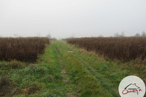 Działka na sprzedaż 1275m2 zawierciański Łazy Chruszczobród - zdjęcie 2