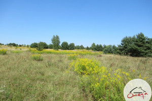 Działka na sprzedaż 960m2 zawierciański Łazy Rokitno Szlacheckie - zdjęcie 1