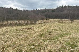 Działka na sprzedaż 46000m2 wejherowski Wejherowo Bieszkowice - zdjęcie 3