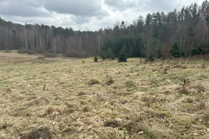 Działka na sprzedaż 46000m2 wejherowski Wejherowo Bieszkowice - zdjęcie 1