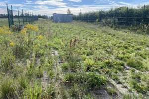 Działka do wynajęcia 4200m2 kartuski Żukowo Tuchom Gdyńska - zdjęcie 2