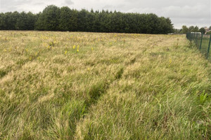 Działka na sprzedaż wejherowski Choczewo Kierzkowo - zdjęcie 2