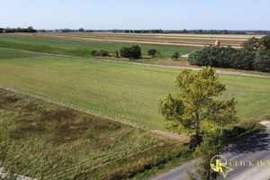 Działka na sprzedaż łaski Widawa Sieradzka - zdjęcie 2