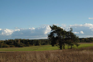 Działka na sprzedaż 3263m2 nidzicki Kozłowo Januszkowo - zdjęcie 2