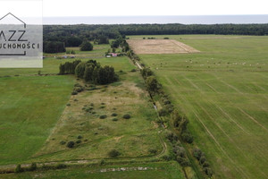 Działka na sprzedaż 3300m2 pucki Krokowa Dębki - zdjęcie 4