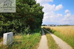 Działka na sprzedaż 15000m2 starogardzki Kaliska Dąbrowa - zdjęcie 1