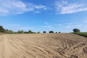 Działka na sprzedaż 8969m2 gryfiński Stare Czarnowo Żelisławiec - zdjęcie 1