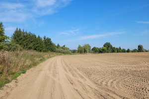 Działka na sprzedaż 8969m2 gryfiński Stare Czarnowo Żelisławiec - zdjęcie 2