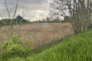 Działka na sprzedaż 11962m2 gnieźnieński Gniezno Dalki Mnichowska - zdjęcie 3