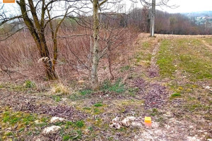 Działka na sprzedaż 2560m2 krakowski Kocmyrzów-Luborzyca Wysiołek Luborzycki Królowej Jadwigi - zdjęcie 2