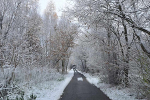 Działka na sprzedaż 1558m2 krakowski Kocmyrzów-Luborzyca Łuczyce Pod Lasem - zdjęcie 3