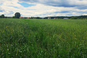 Działka na sprzedaż bocheński Drwinia Ispina - zdjęcie 1