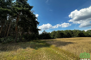 Działka na sprzedaż 885m2 bydgoski Koronowo Stary Jasiniec - zdjęcie 1