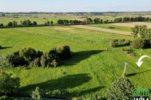 Działka na sprzedaż 1903m2 nakielski Nakło nad Notecią Występ - zdjęcie 1